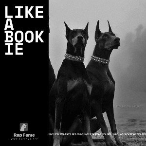 LIKE A BOOKIE 