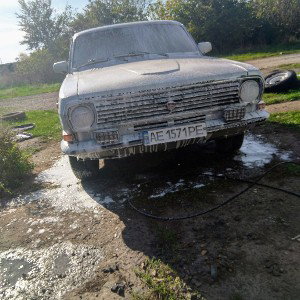 волжанка