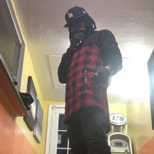 Plottin