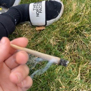 stoned up bullshit diss