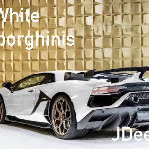 White Lamborghinis 