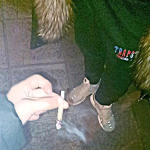 perros callejeros