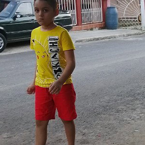 el insulto 