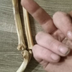 hit_in_the_hardest_