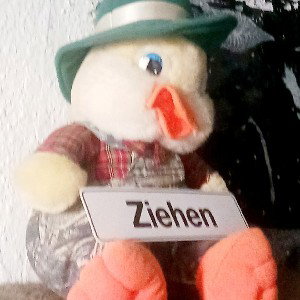 der falsche weg