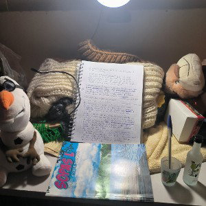 mi concejo