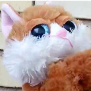 اخر مرگه