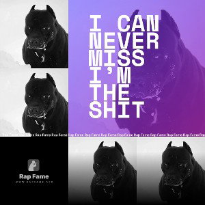 I can never miss I’m the shit 