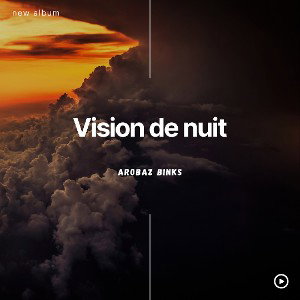 vision de nuit 