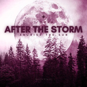 After The Storm