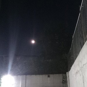 Ahora.Si.Coño