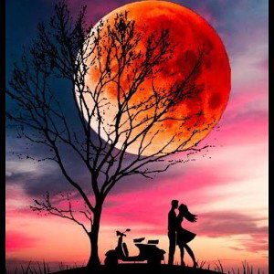 sentimientos nada mas