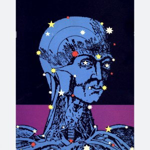 Untitled 5 