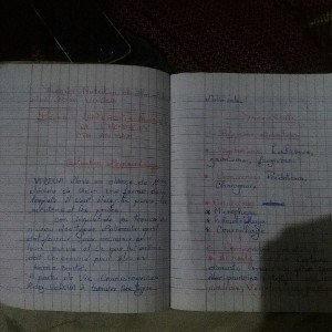 My Lessons