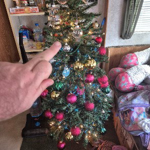 a joe house christmas