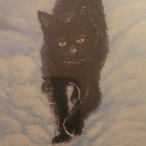 The Dreamer