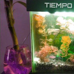 Tiempo - Niz Rap (trap lofi)