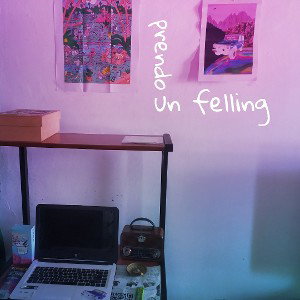 Prendo un felling - Niz Rap 