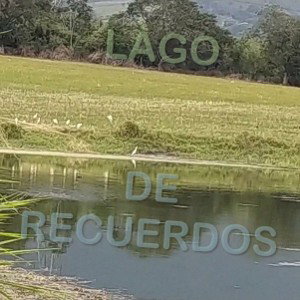 Lago de recuerdos - Niz Rap