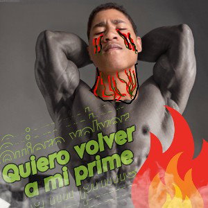 quiero volver a mi prime