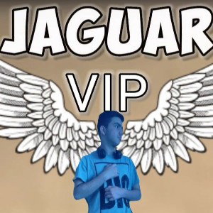 VIP