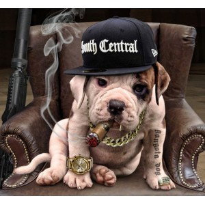 on a gangster story