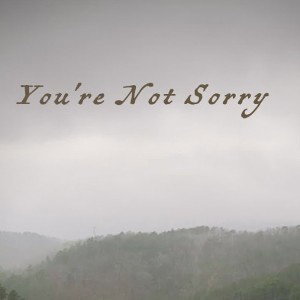 You're not sorry.