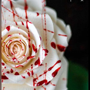 Bloody roses.