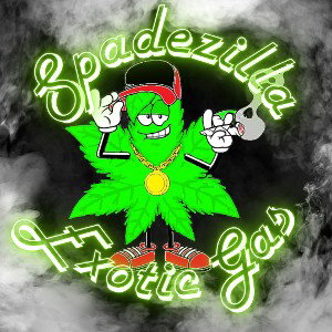 Exotic Gas Remix