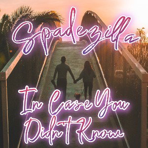 In Case You Didnt Know (Cover)