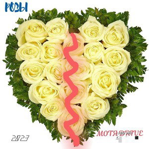РОЗЫ
