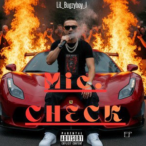 Mic 🎤 Checker