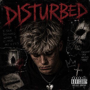  DISTURBED  