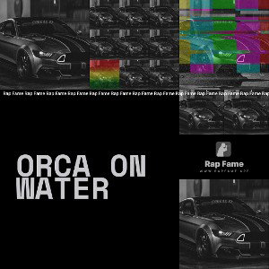 orca on water 