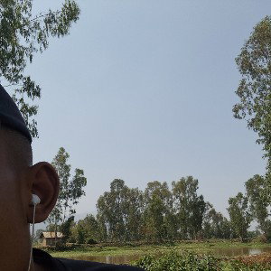 kalakar