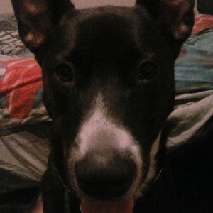casper