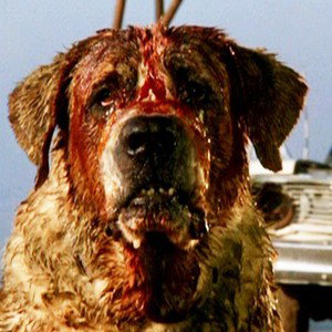 Call Me Cujo