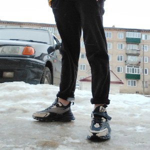 у лукаморья дуб