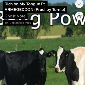 Rich on My Tongue Ft ARMEGEDDON Prod by Turnip