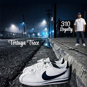 310 loyalty 