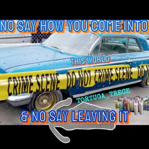 THEY  D.A.R.E.D  US 