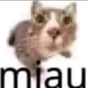 бльа