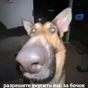 Болгарский тапочек (feat. REMARU)