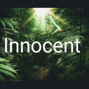 innocent 