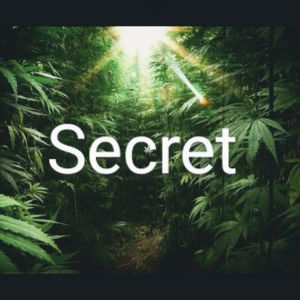 secret 