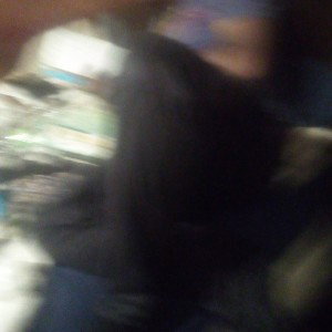 damalliegography