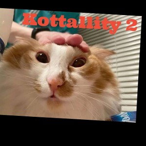5Х0t6kАT3