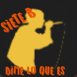 DIME LO QUE ES 