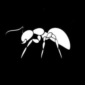 War (batay) -Nathan King -