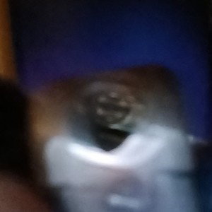 don't give a fuck